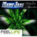 Feellife E-Juice 10ml VG/PG Mix Mary Jane flavour